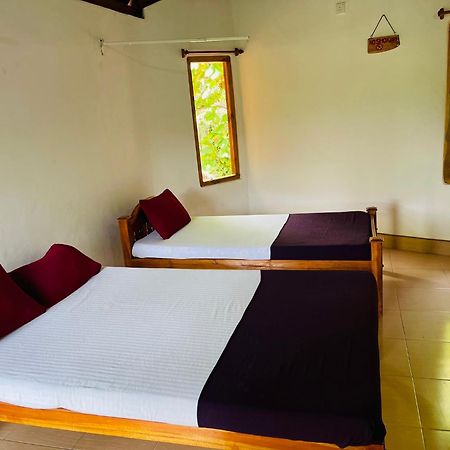 New Roy Guest House Kalkudah  Rum bild