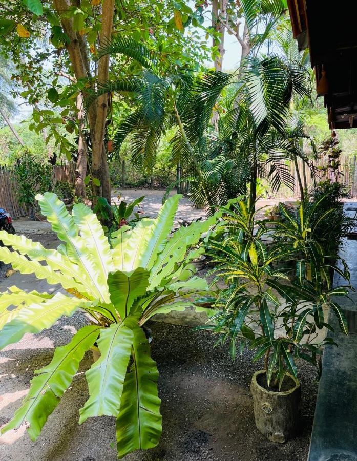 New Roy Guest House Kalkudah  Exteriör bild