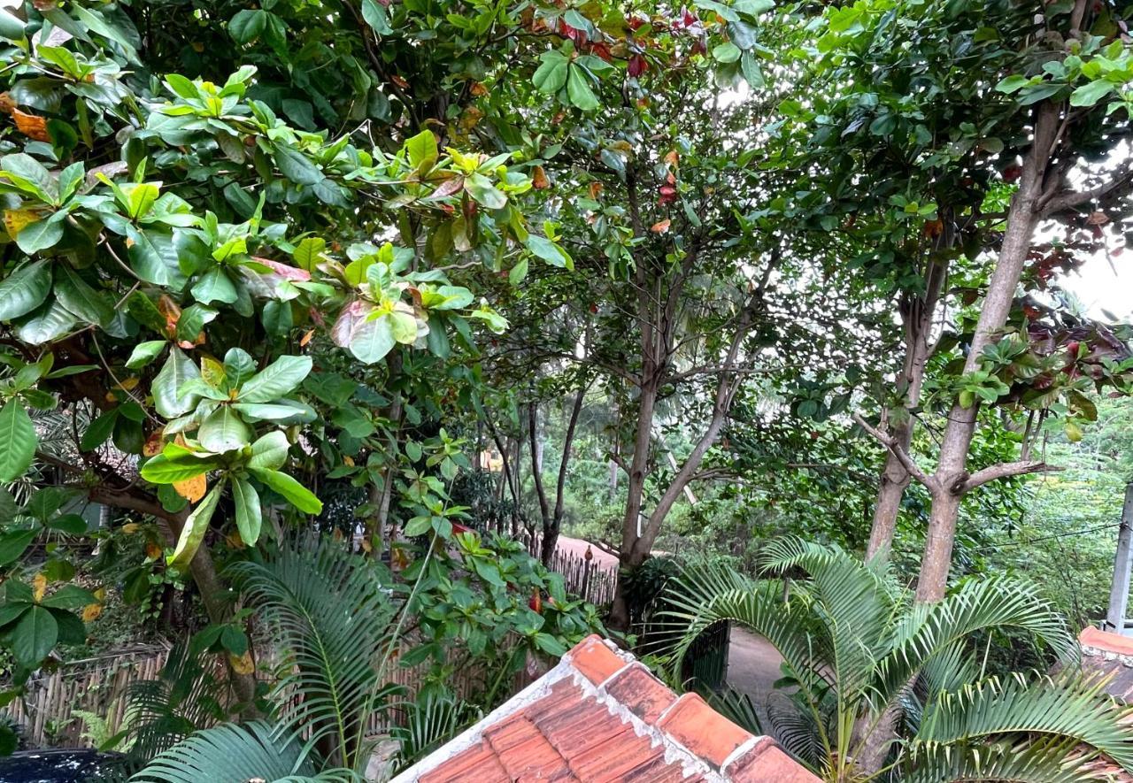 New Roy Guest House Kalkudah  Exteriör bild