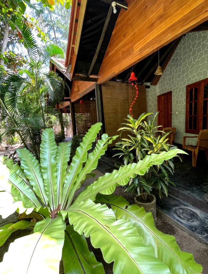 New Roy Guest House Kalkudah  Exteriör bild